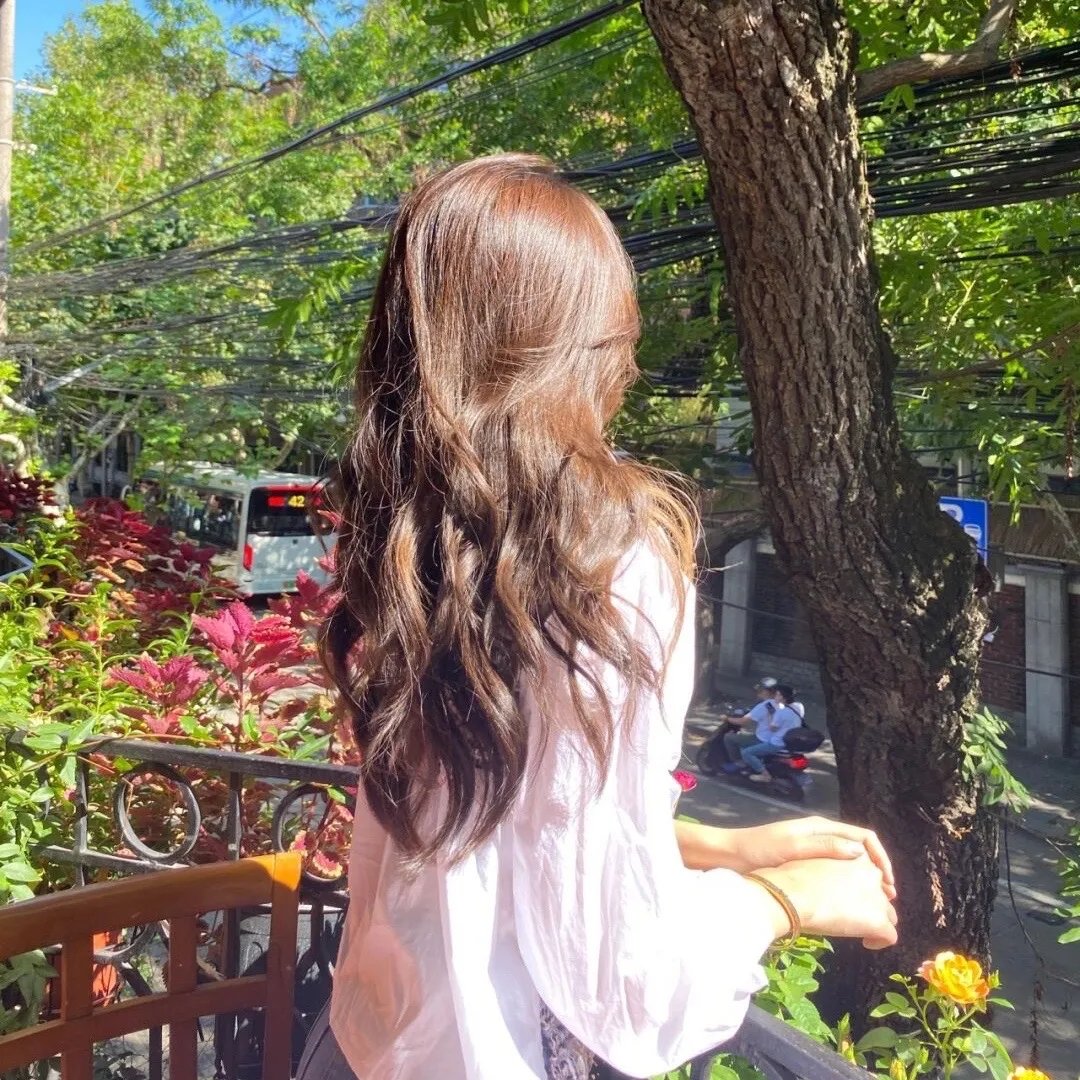莫丽的朝圣