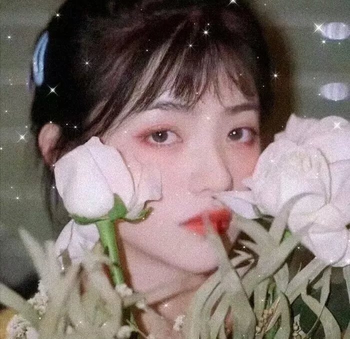 红白黑黄第七季