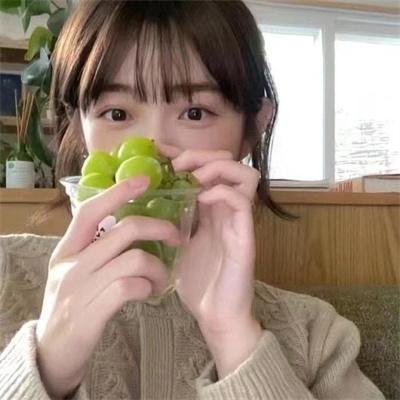 我的朋友是萌鲨